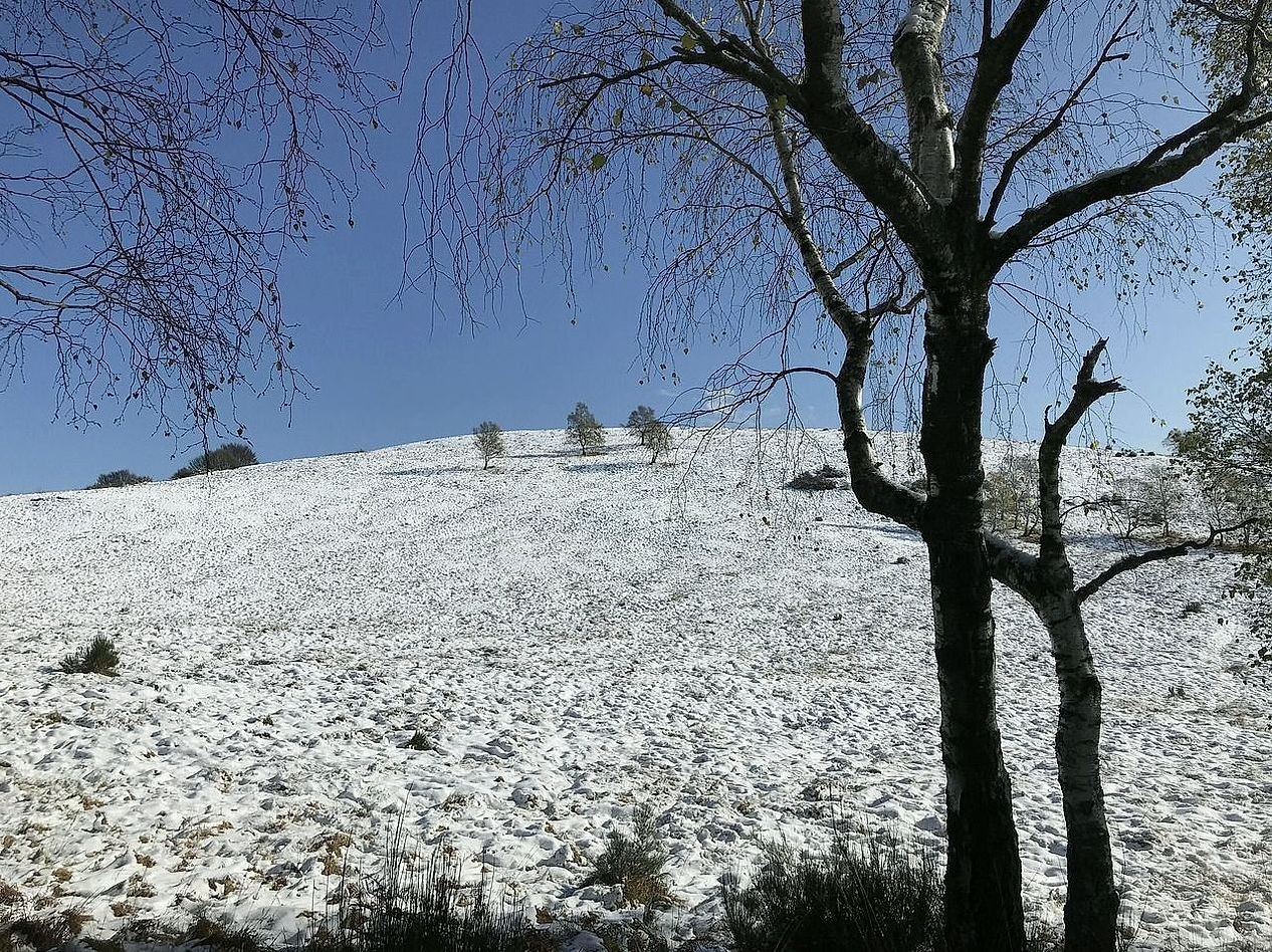Interaktif trekking haritası inşa projesi